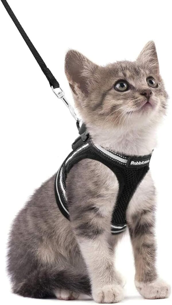 Limited time deal 30% off  Cat Harness and Leash Set