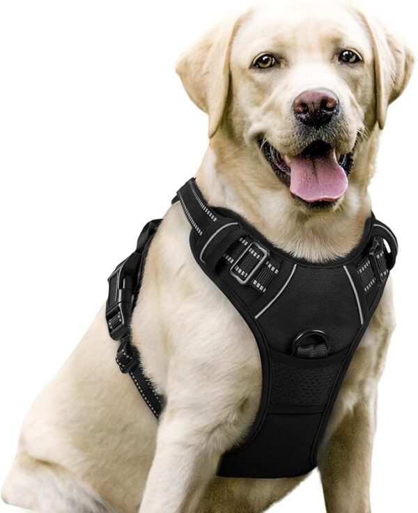 Limited time deal 25% off rabbitgoo Dog Harness